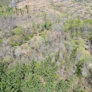 Photo #23 of Mountain Hall Rd, Crewe, VA 43.0 acres