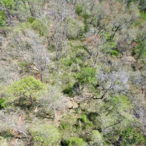 Photo #24 of Mountain Hall Rd, Crewe, VA 43.0 acres