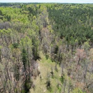 Photo #25 of Mountain Hall Rd, Crewe, VA 43.0 acres