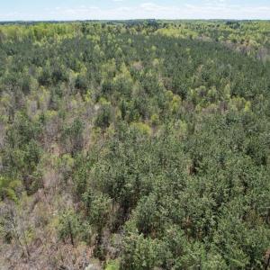 Photo #26 of Mountain Hall Rd, Crewe, VA 43.0 acres