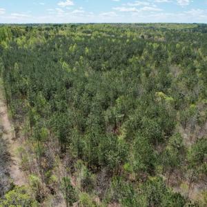 Photo #27 of Mountain Hall Rd, Crewe, VA 43.0 acres