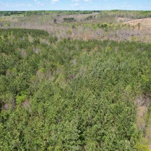 Photo #28 of Mountain Hall Rd, Crewe, VA 43.0 acres