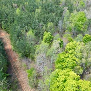 Photo #29 of Mountain Hall Rd, Crewe, VA 43.0 acres