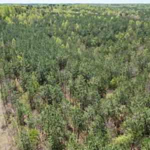 Photo #30 of Mountain Hall Rd, Crewe, VA 43.0 acres