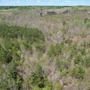 Photo #31 of Mountain Hall Rd, Crewe, VA 43.0 acres