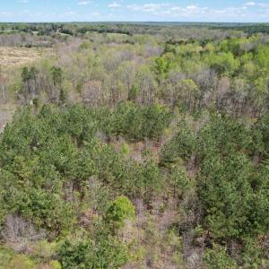 Photo #32 of Mountain Hall Rd, Crewe, VA 43.0 acres