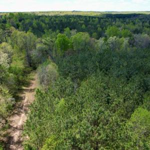 Photo #33 of Mountain Hall Rd, Crewe, VA 43.0 acres