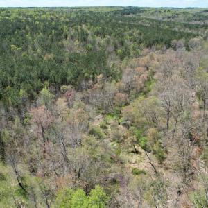 Photo #35 of Mountain Hall Rd, Crewe, VA 43.0 acres