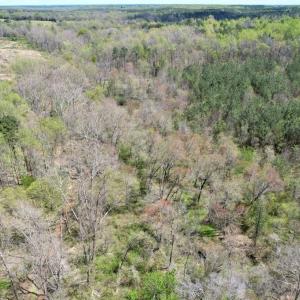 Photo #36 of Mountain Hall Rd, Crewe, VA 43.0 acres