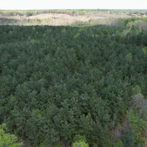 Photo #37 of Mountain Hall Rd, Crewe, VA 43.0 acres