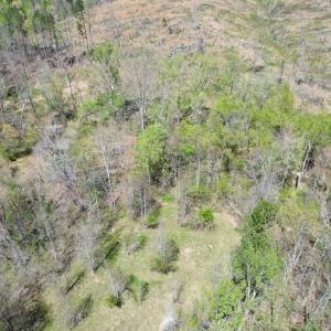 Photo #38 of Mountain Hall Rd, Crewe, VA 43.0 acres