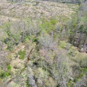 Photo #39 of Mountain Hall Rd, Crewe, VA 43.0 acres