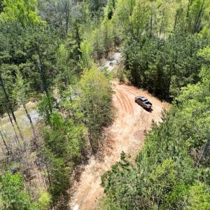 Photo #4 of Mountain Hall Rd, Crewe, VA 43.0 acres