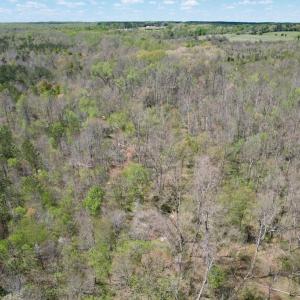 Photo #40 of Mountain Hall Rd, Crewe, VA 43.0 acres