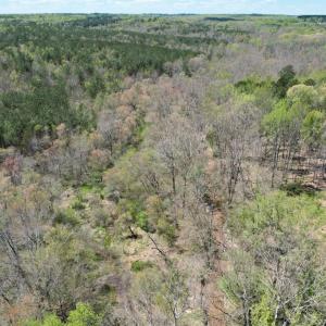 Photo #41 of Mountain Hall Rd, Crewe, VA 43.0 acres