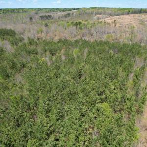 Photo #43 of Mountain Hall Rd, Crewe, VA 43.0 acres