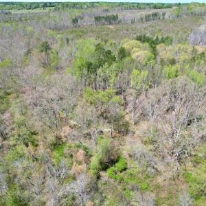 Photo #44 of Mountain Hall Rd, Crewe, VA 43.0 acres