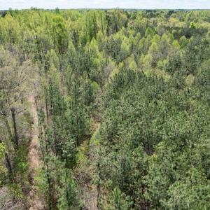 Photo #46 of Mountain Hall Rd, Crewe, VA 43.0 acres