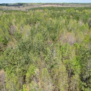 Photo #47 of Mountain Hall Rd, Crewe, VA 43.0 acres