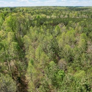 Photo #48 of Mountain Hall Rd, Crewe, VA 43.0 acres