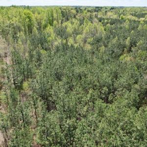 Photo #49 of Mountain Hall Rd, Crewe, VA 43.0 acres