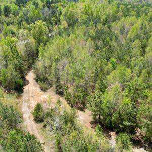 Photo #5 of Mountain Hall Rd, Crewe, VA 43.0 acres