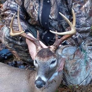 Photo #51 of Mountain Hall Rd, Crewe, VA 43.0 acres