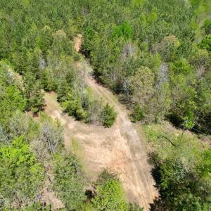 Photo #6 of Mountain Hall Rd, Crewe, VA 43.0 acres