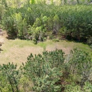 Photo #8 of Mountain Hall Rd, Crewe, VA 43.0 acres