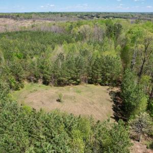 Photo #9 of Mountain Hall Rd, Crewe, VA 43.0 acres