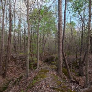 Photo #10 of Poorhouse Road, Rice, VA 56.7 acres