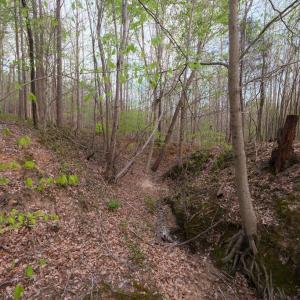 Photo #11 of Poorhouse Road, Rice, VA 56.7 acres