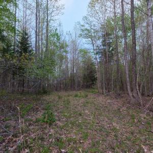 Trail Cut In