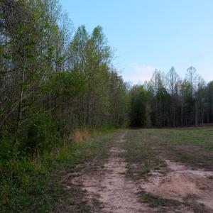 Drive Beside Existing Homes