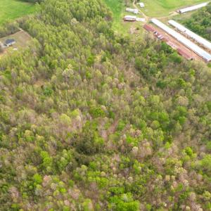 Photo #20 of Poorhouse Road, Rice, VA 56.7 acres