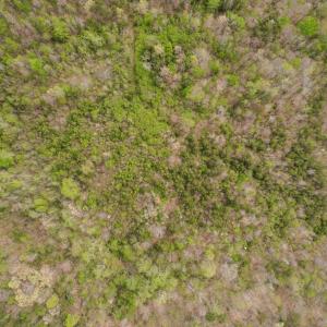 Photo #21 of Poorhouse Road, Rice, VA 56.7 acres