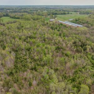 Photo #22 of Poorhouse Road, Rice, VA 56.7 acres