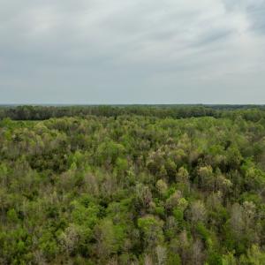 Photo #23 of Poorhouse Road, Rice, VA 56.7 acres