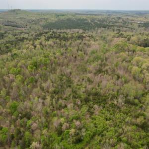 Photo #25 of Poorhouse Road, Rice, VA 56.7 acres
