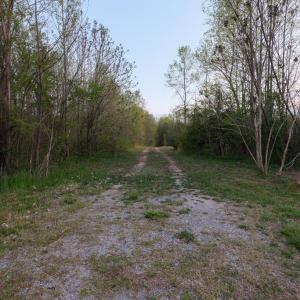 Photo #4 of Poorhouse Road, Rice, VA 56.7 acres