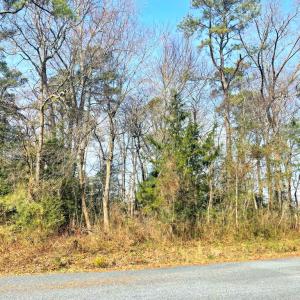 Photo #10 of Lot 23 SANDPIPER LANE, ATLANTIC, VA 0.8 acres