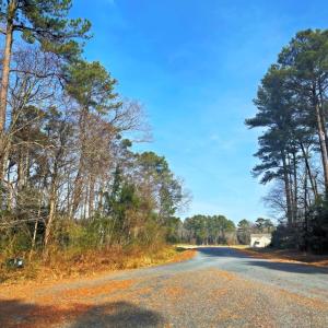 Photo #11 of Lot 23 SANDPIPER LANE, ATLANTIC, VA 0.8 acres