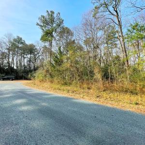 Photo #12 of Lot 23 SANDPIPER LANE, ATLANTIC, VA 0.8 acres