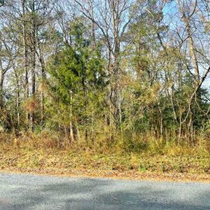 Photo #6 of Lot 23 SANDPIPER LANE, ATLANTIC, VA 0.8 acres