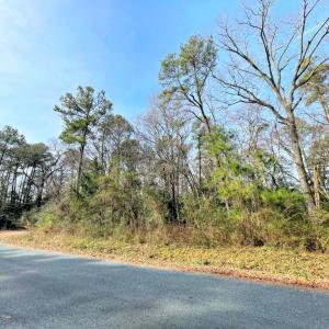 Photo #7 of Lot 23 SANDPIPER LANE, ATLANTIC, VA 0.8 acres