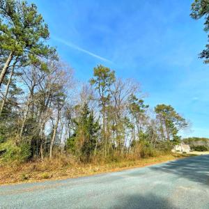 Photo #8 of Lot 23 SANDPIPER LANE, ATLANTIC, VA 0.8 acres