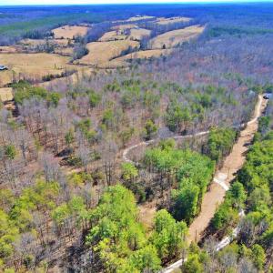 Photo #14 of Watt Abbitt Rd., Appomattox, VA 24.0 acres