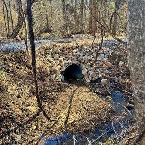 Photo #3 of Watt Abbitt Rd., Appomattox, VA 24.0 acres