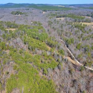 Photo #8 of Watt Abbitt Rd., Appomattox, VA 24.0 acres