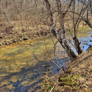 Photo #9 of Watt Abbitt Rd., Appomattox, VA 24.0 acres